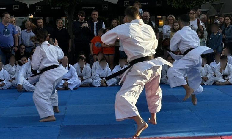 Slider Epideijsh Sotokan Karate 780x470