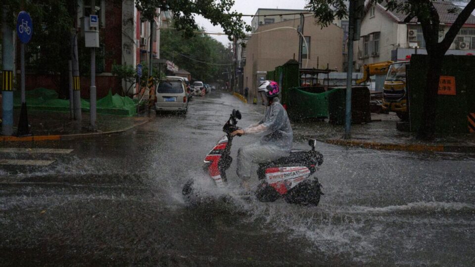 6ea9939fe637793fa787f1c6f3ae16e5