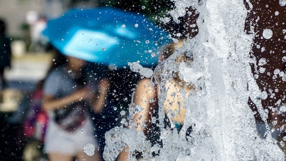 1c4d463e197e441de831830be6acfc9a