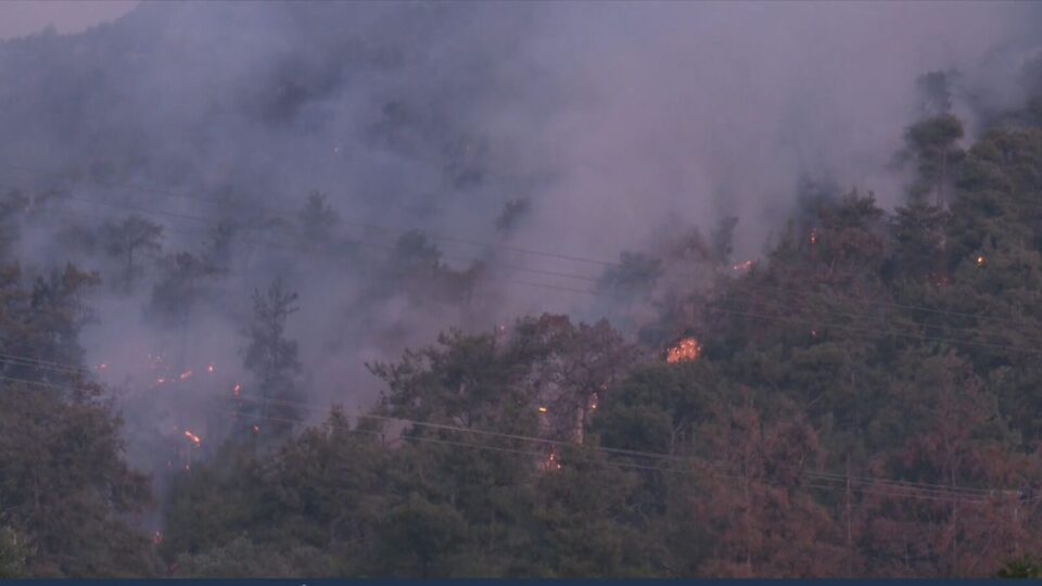 316fb90350b4596dce96ef8dadd4ff43